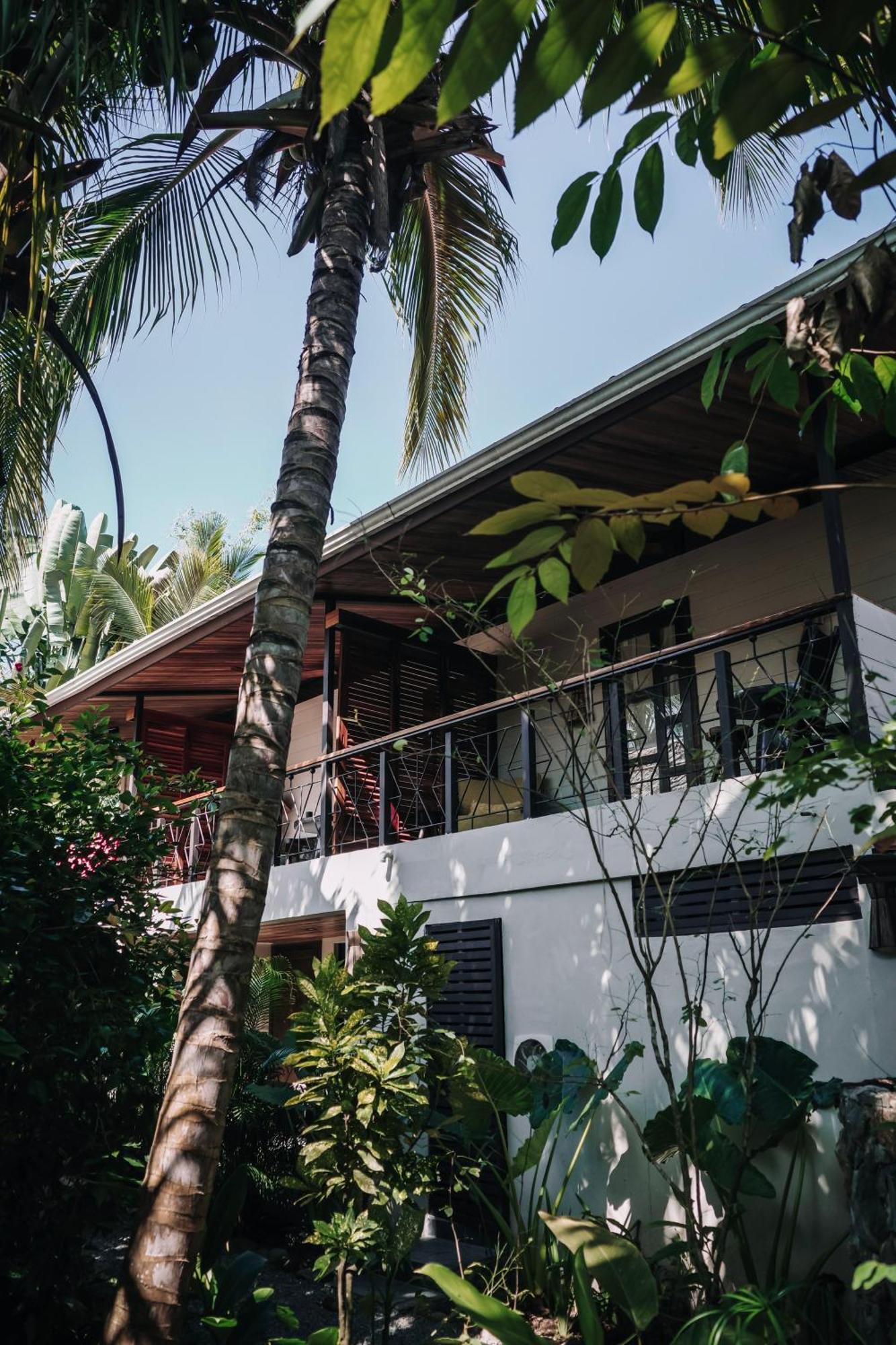Conga Boutique Hotel Puerto Viejo de Talamanca Экстерьер фото
